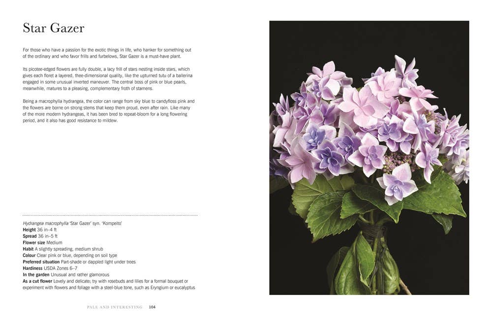Hydrangeas: Beautiful Varieties for Home &amp; Garden - The Preppy Bunny