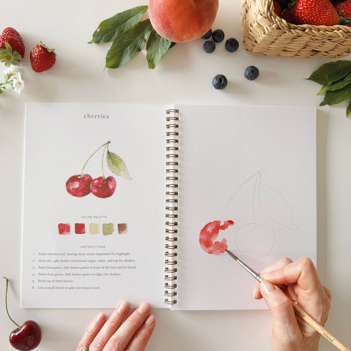 Fruit Watercolor Workbook - The Preppy Bunny