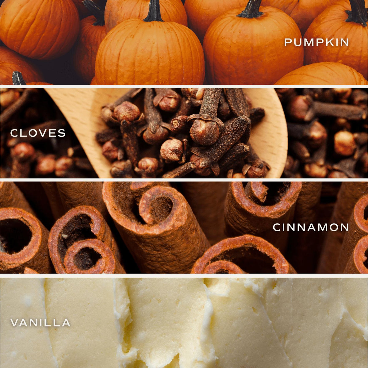 Pumpkin Spice 12 oz Boxed Soy Candle