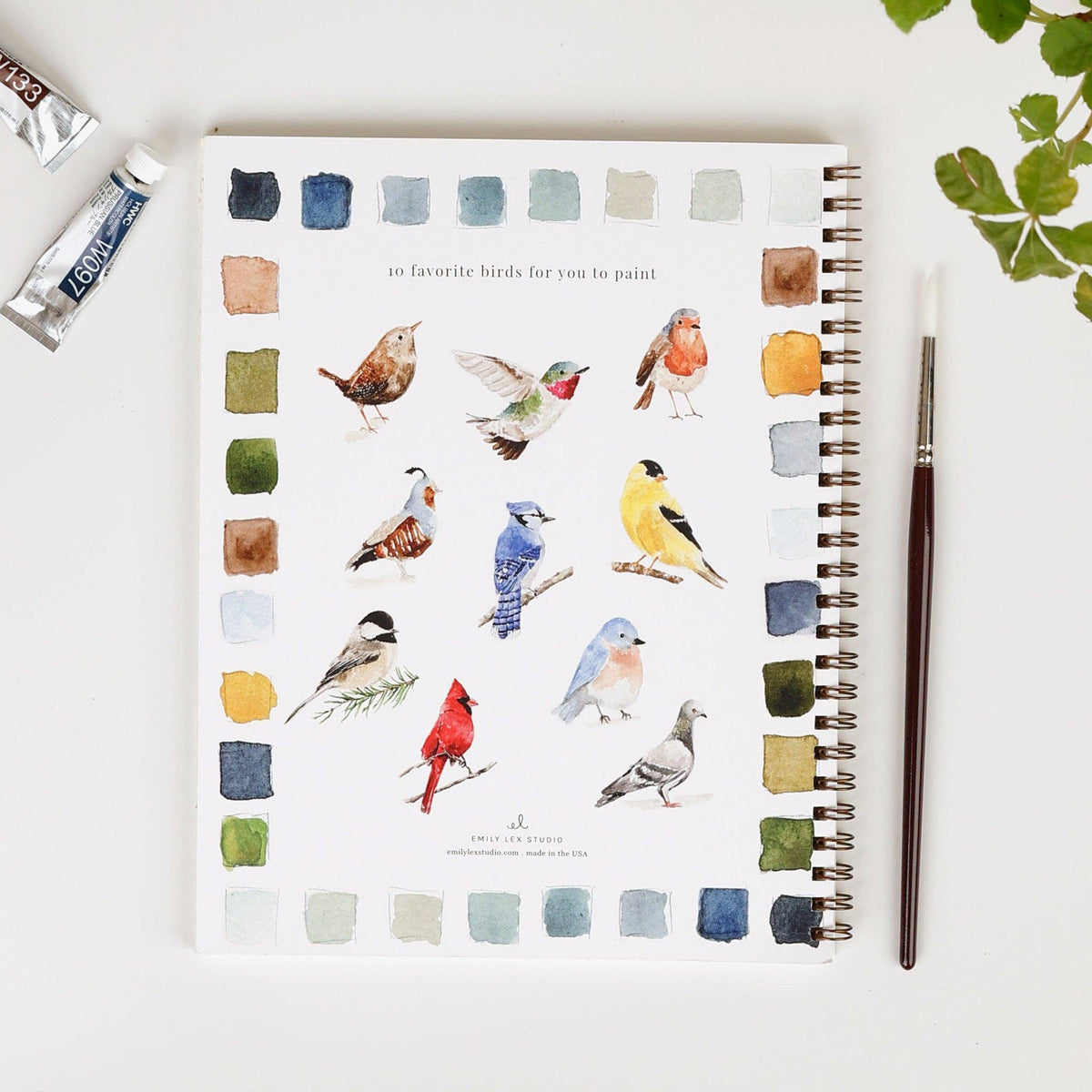 watercolor workbook birds - The Preppy Bunny