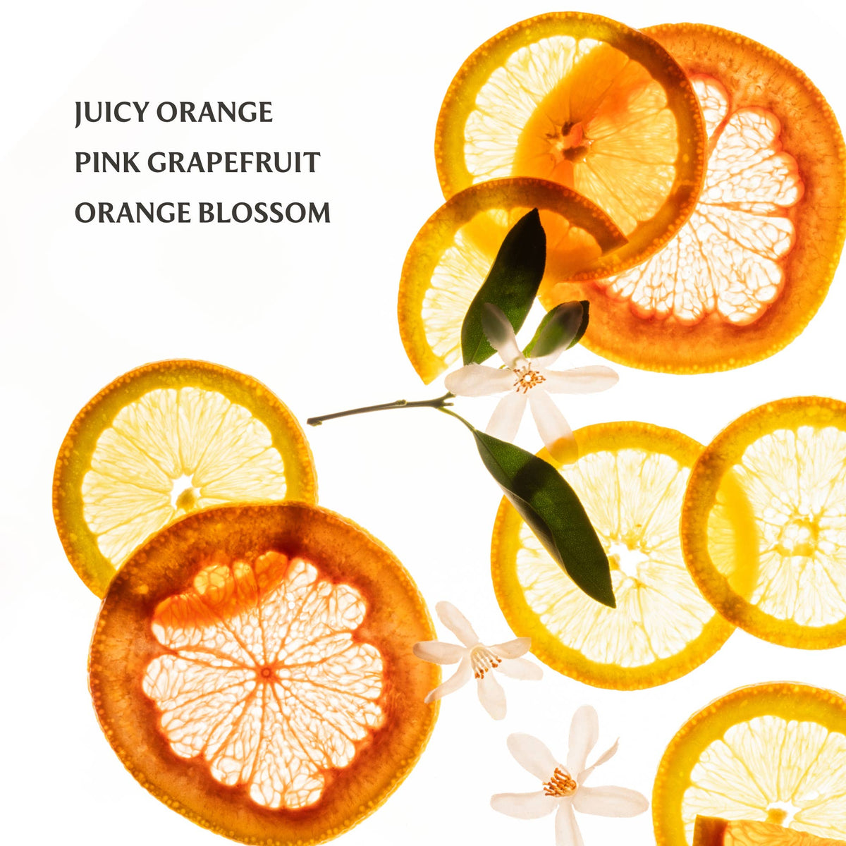 Citrus Grove Power Mist Hydrating Hand Sanitizer - The Preppy Bunny