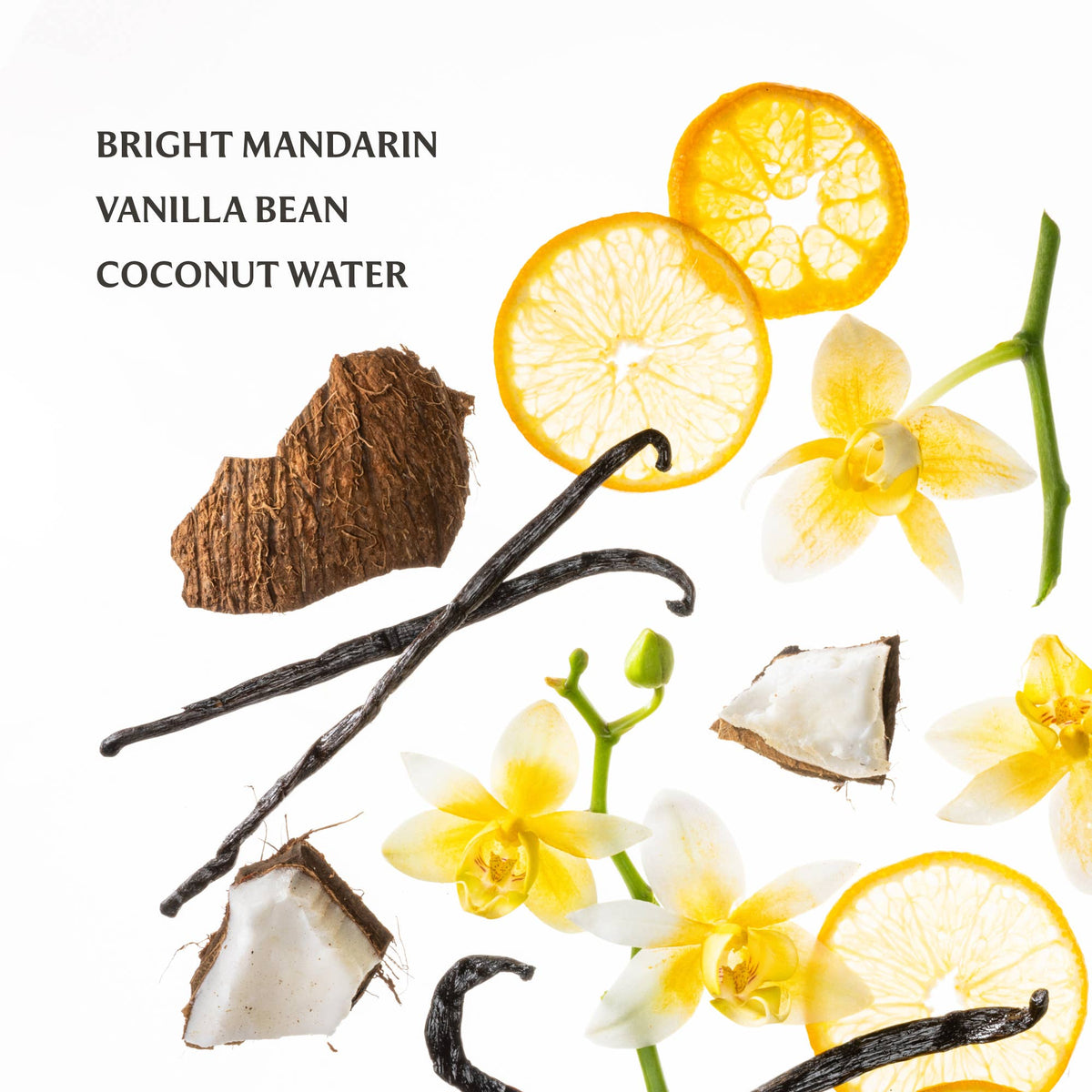 Vanilla Blossom Power Mist Hydrating Hand Sanitizer - The Preppy Bunny