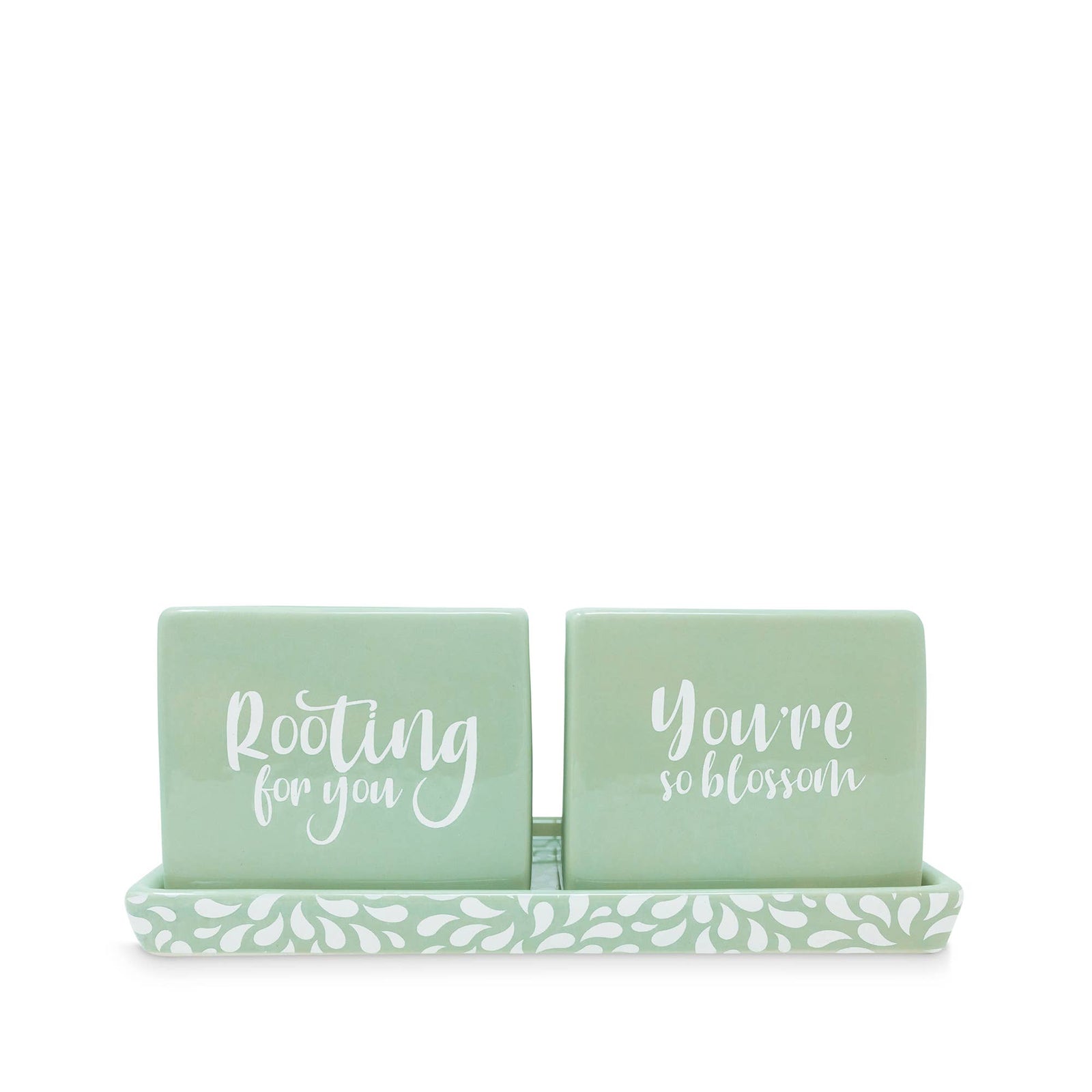 Herb Planter Set - The Preppy Bunny