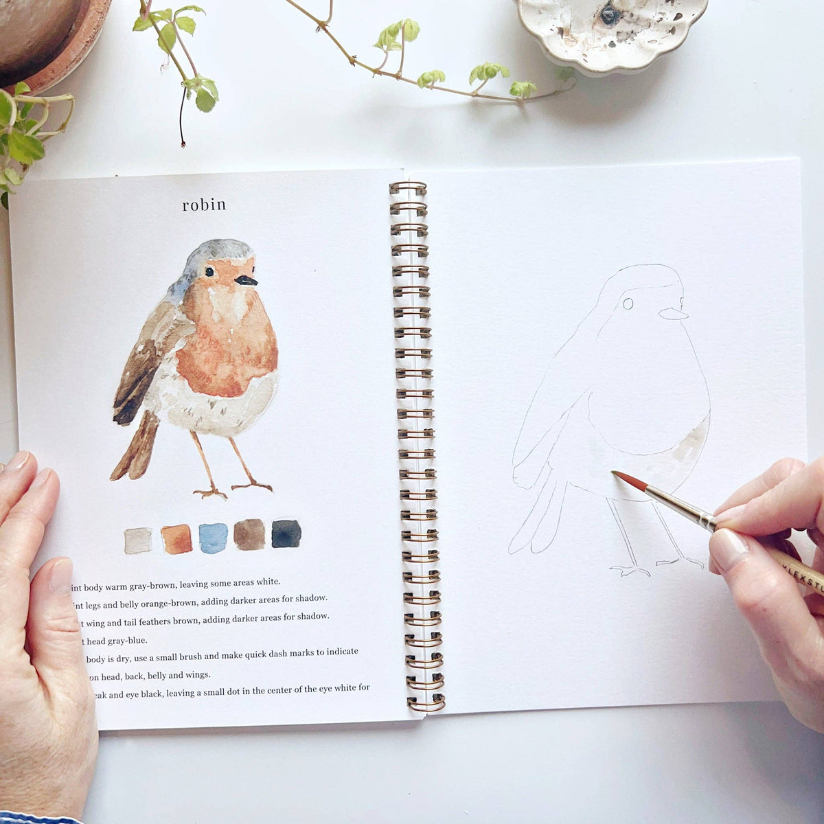 Birds Watercolor Workbook - The Preppy Bunny