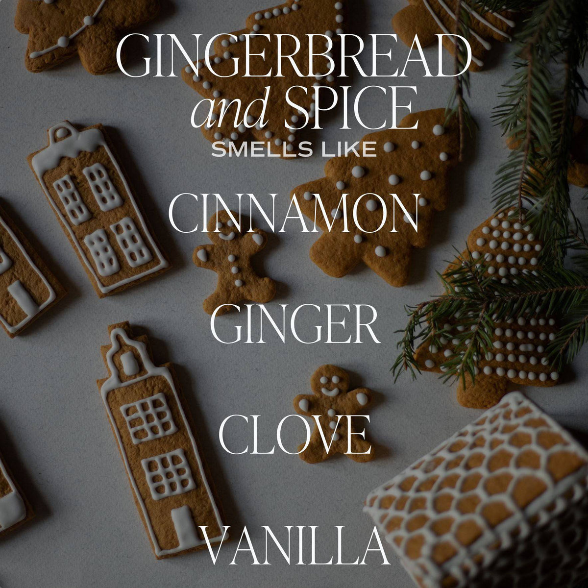 Gingerbread and Spice 9 oz Soy Candle - The Preppy Bunny