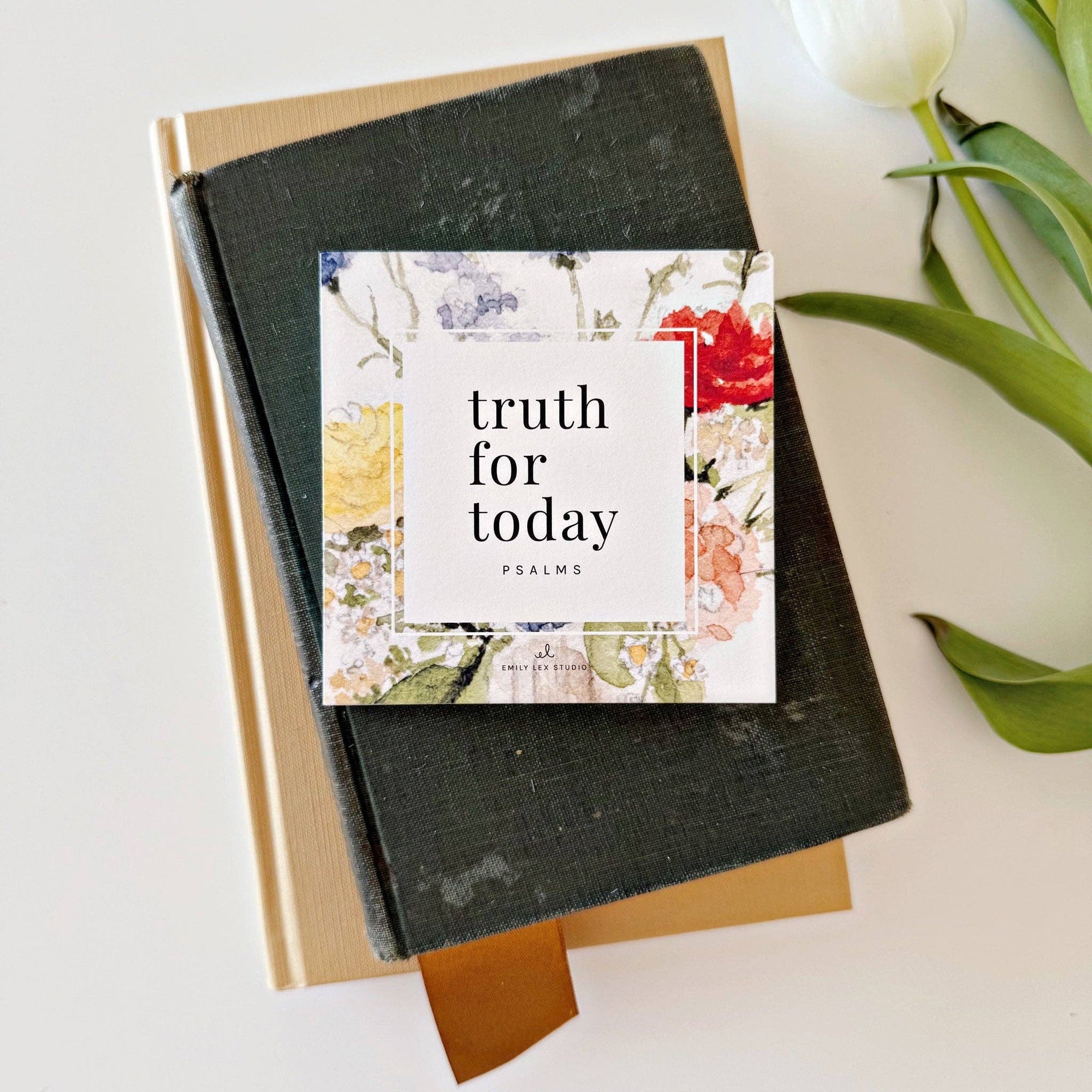 Truth for today psalms cards - The Preppy Bunny