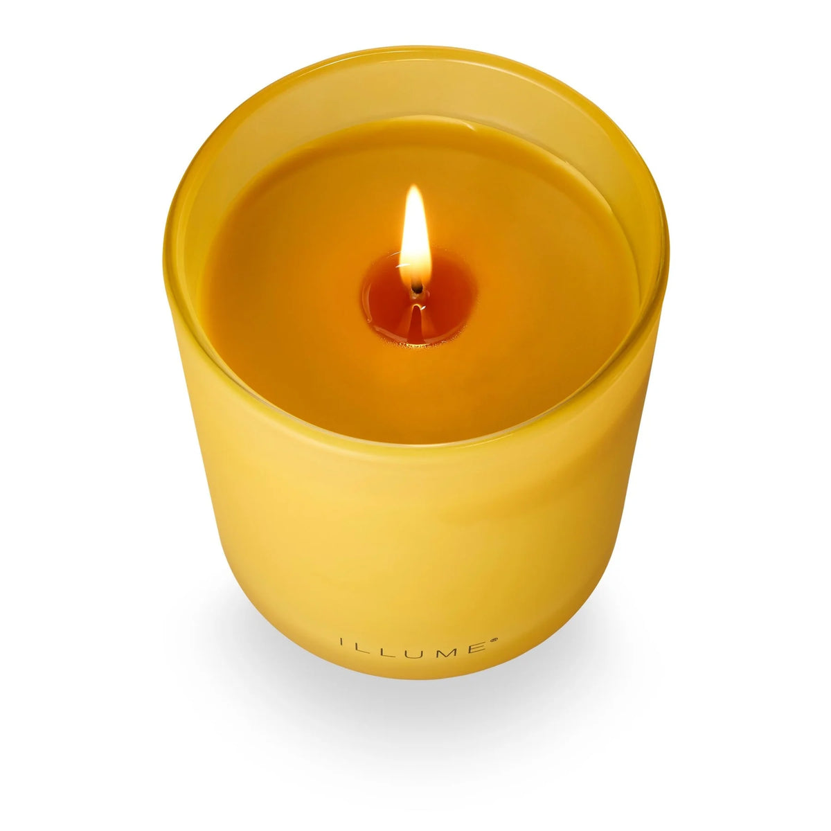 Rhubarb Honey Boxed Glass Candle - The Preppy Bunny