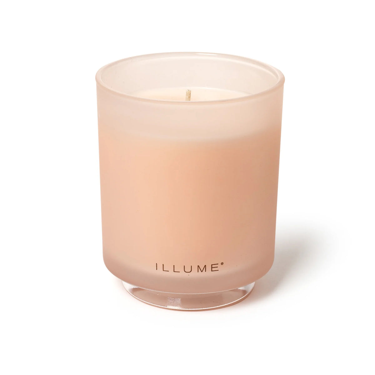 Coconut Milk Mango Boxed Glass Candle - The Preppy Bunny
