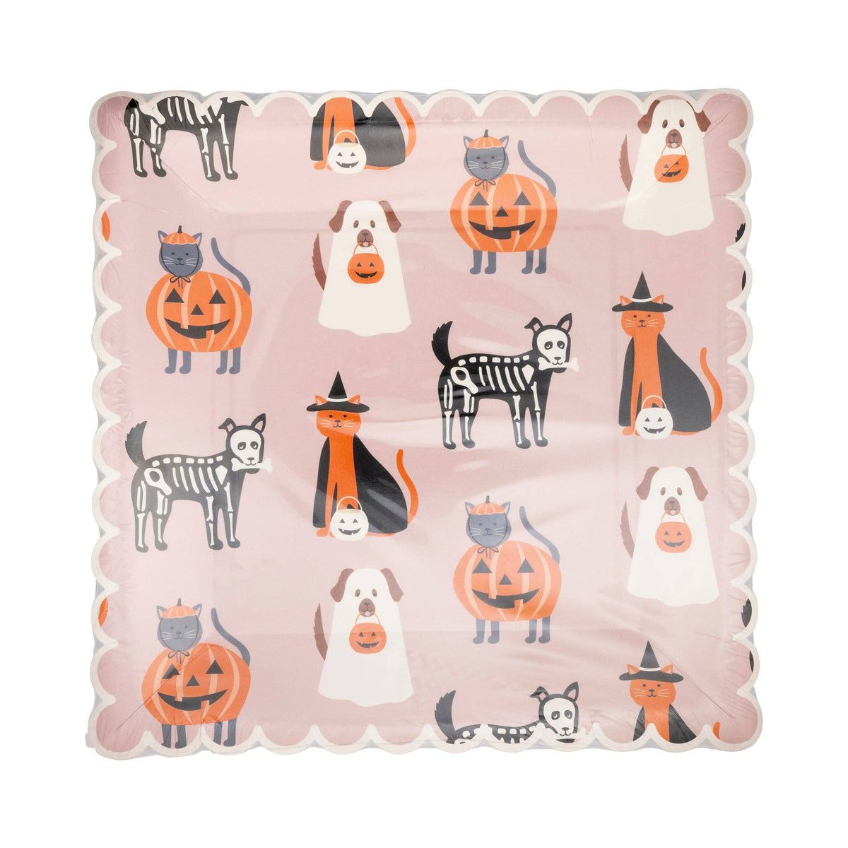 Costume Pets Paper Plates