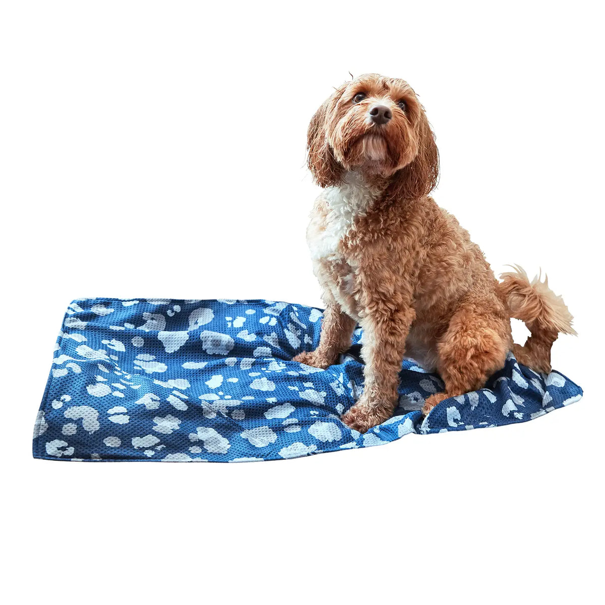 K9 Camo Dock &amp; Bay Dog Towel