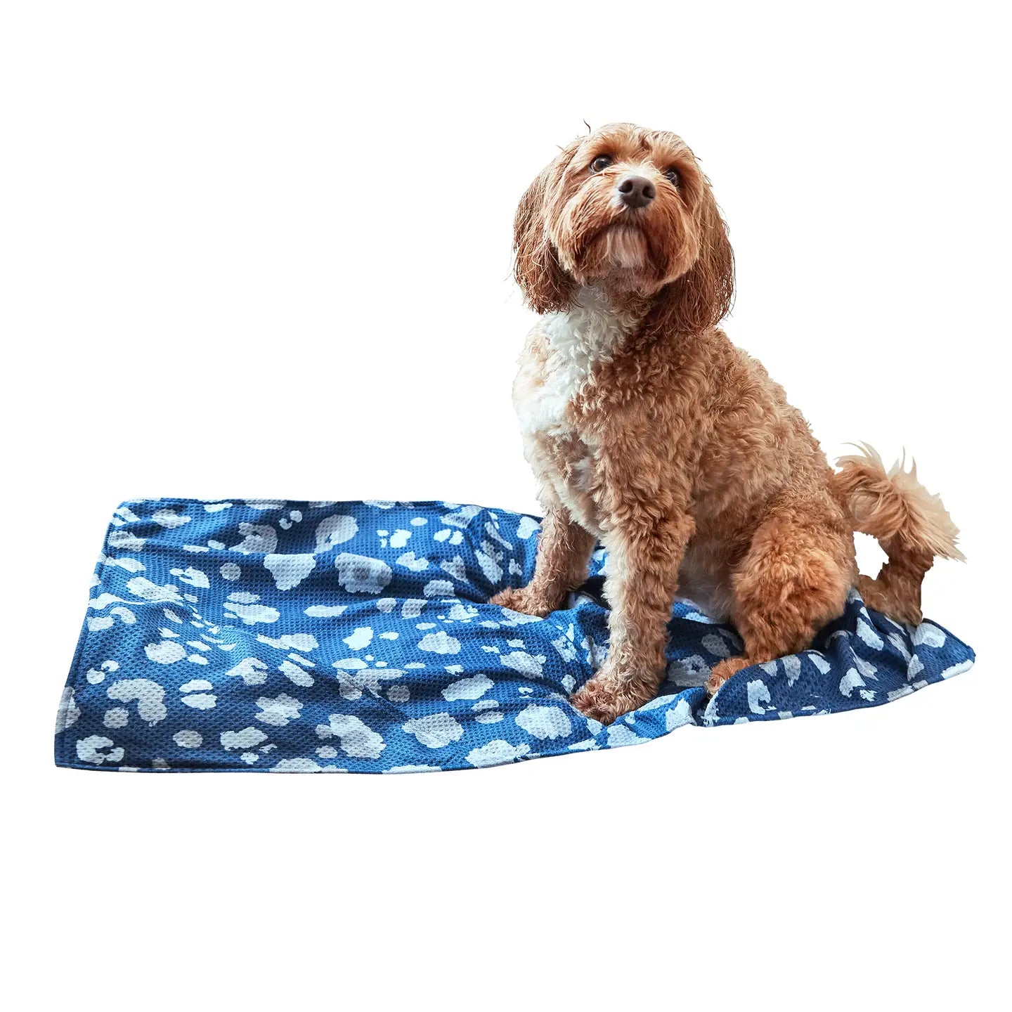 K9 Camo Dock & Bay Dog Towel - The Preppy Bunny