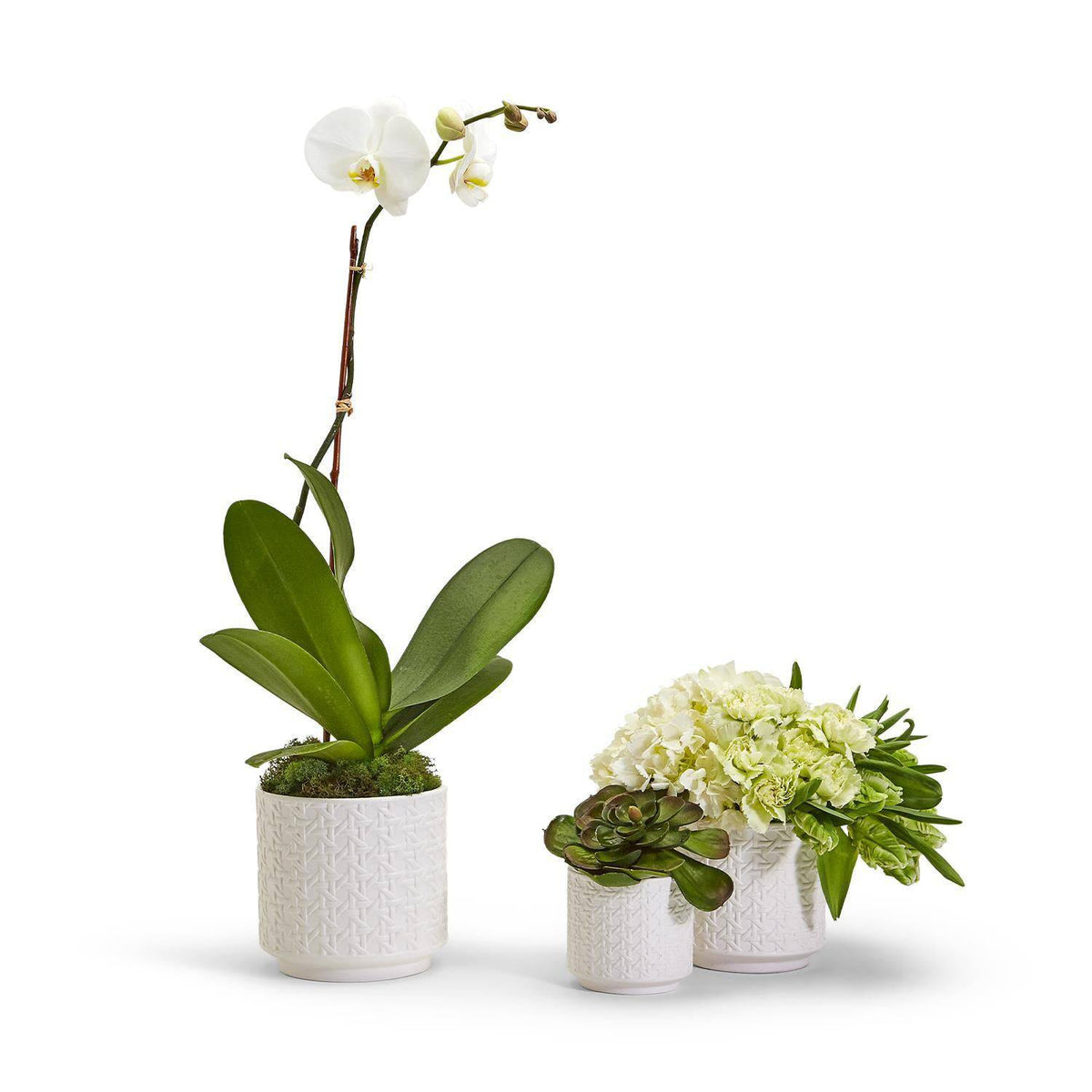Cane Webbing Planter - 3 Sizes Available - The Preppy Bunny