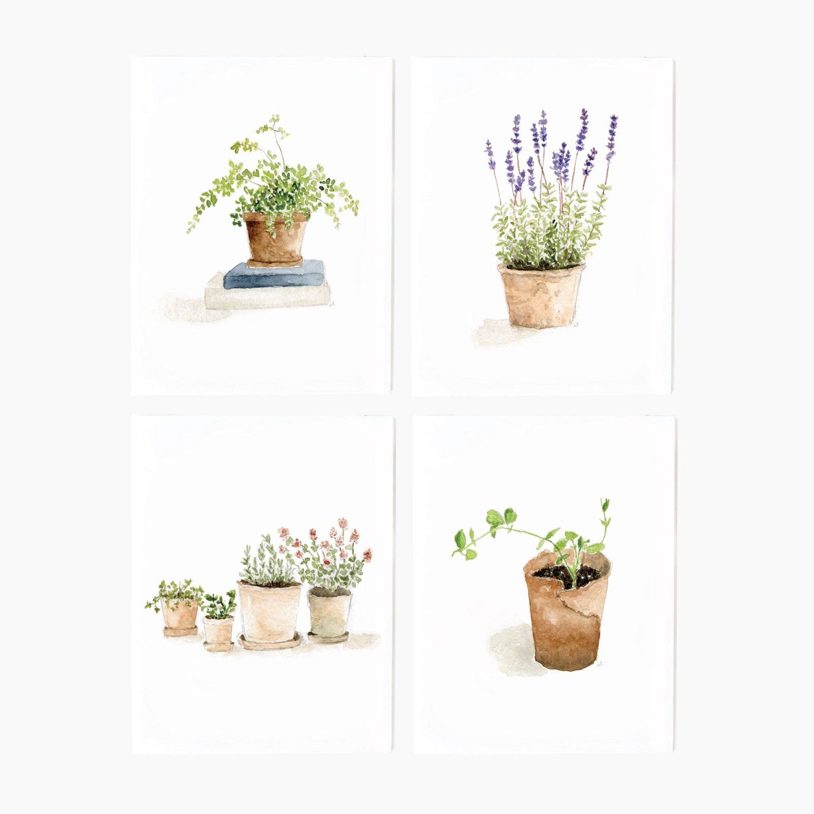 Potted plants notecard set - The Preppy Bunny