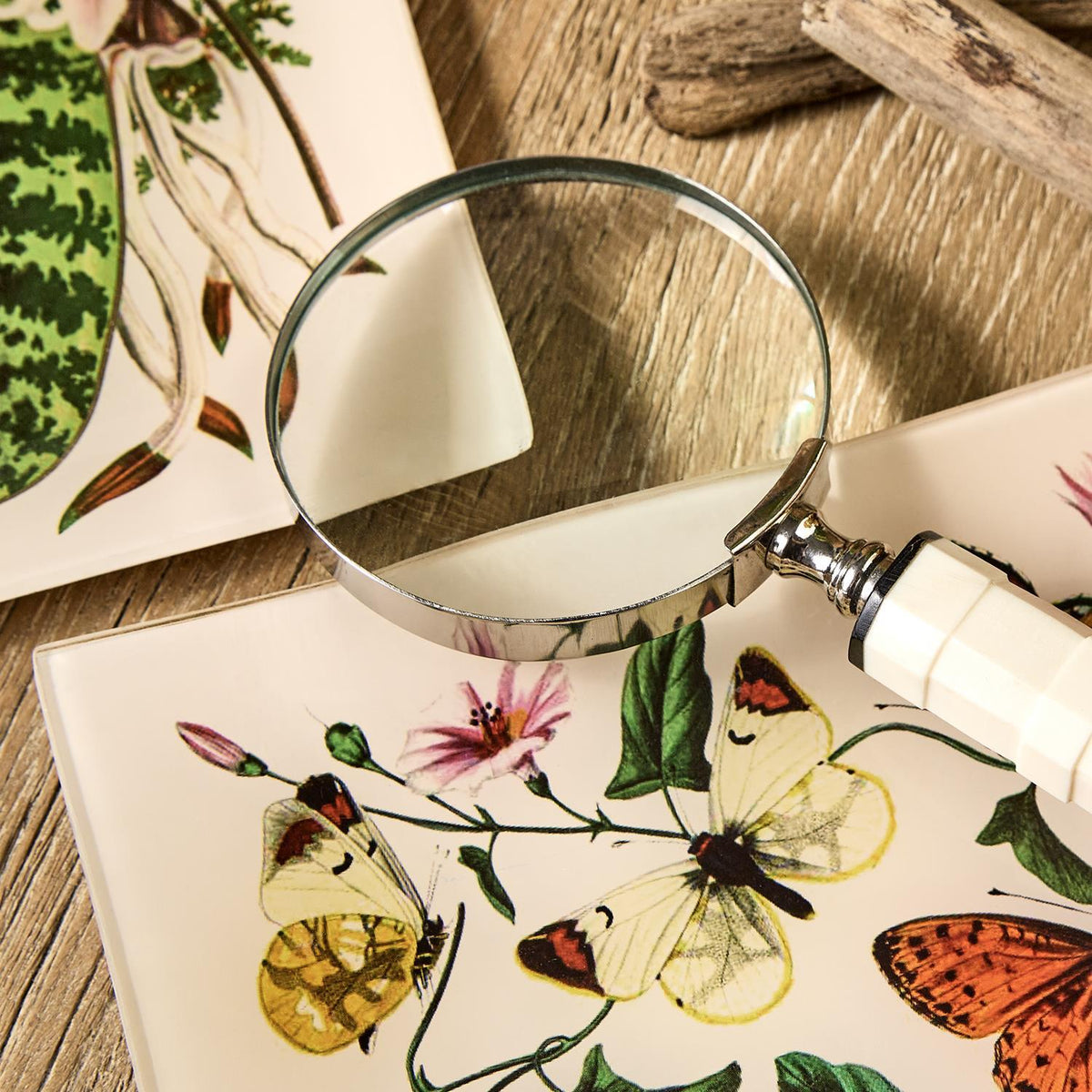 Butterfly and Botanical Glass Trinket Tray