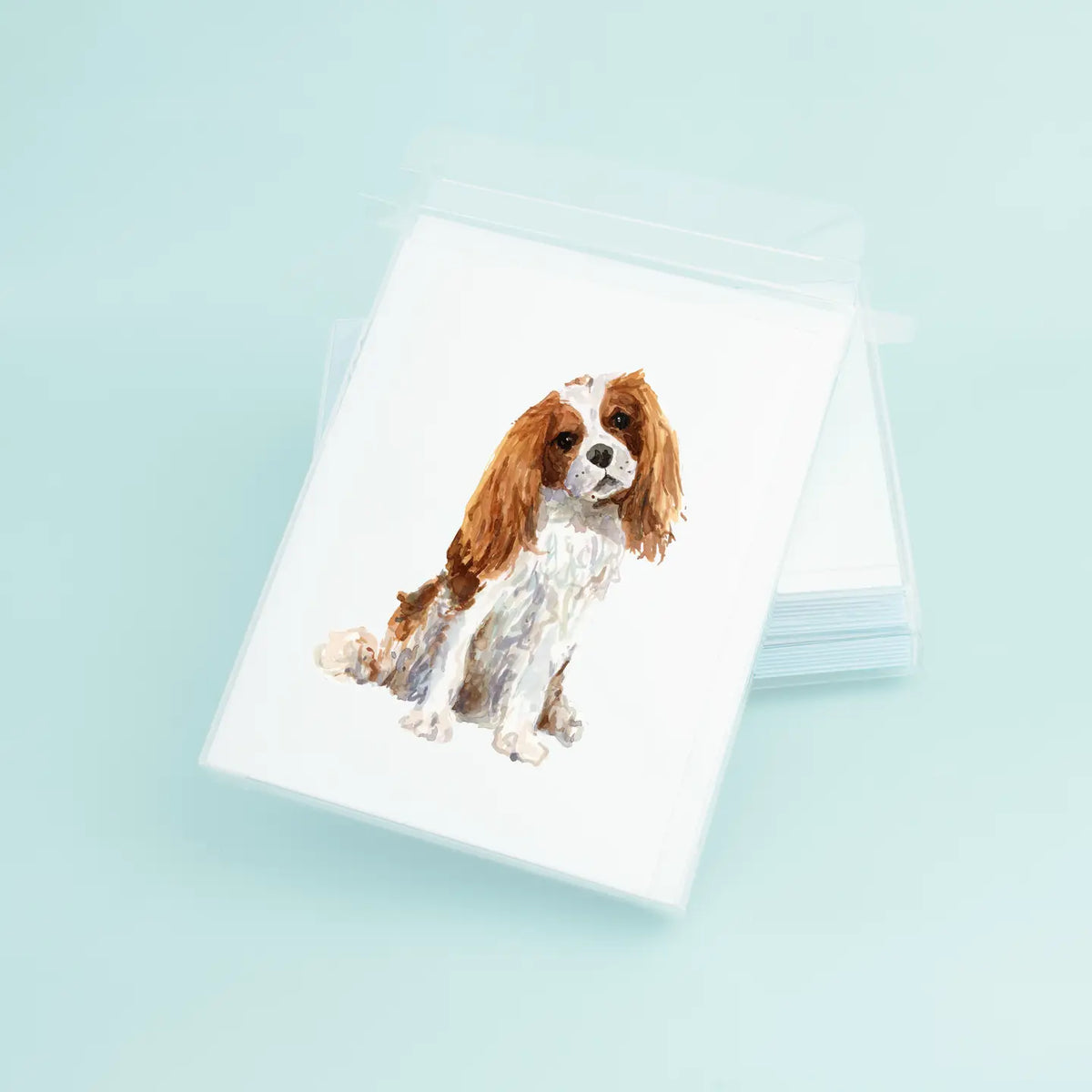Cavalier King Charles Greeting Card