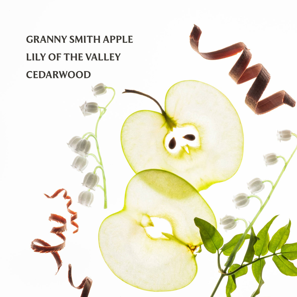 Applelicious Power Mist Hydrating Hand Sanitizer - The Preppy Bunny