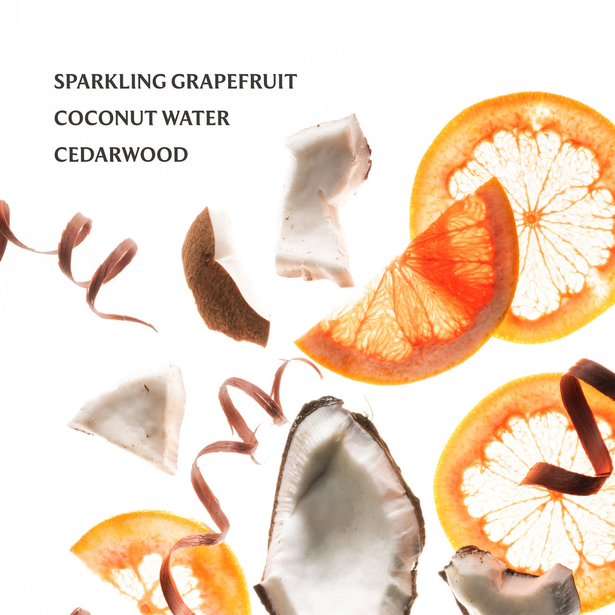 Beach Coco Power Mist Hydrating Hand Sanitizer - The Preppy Bunny