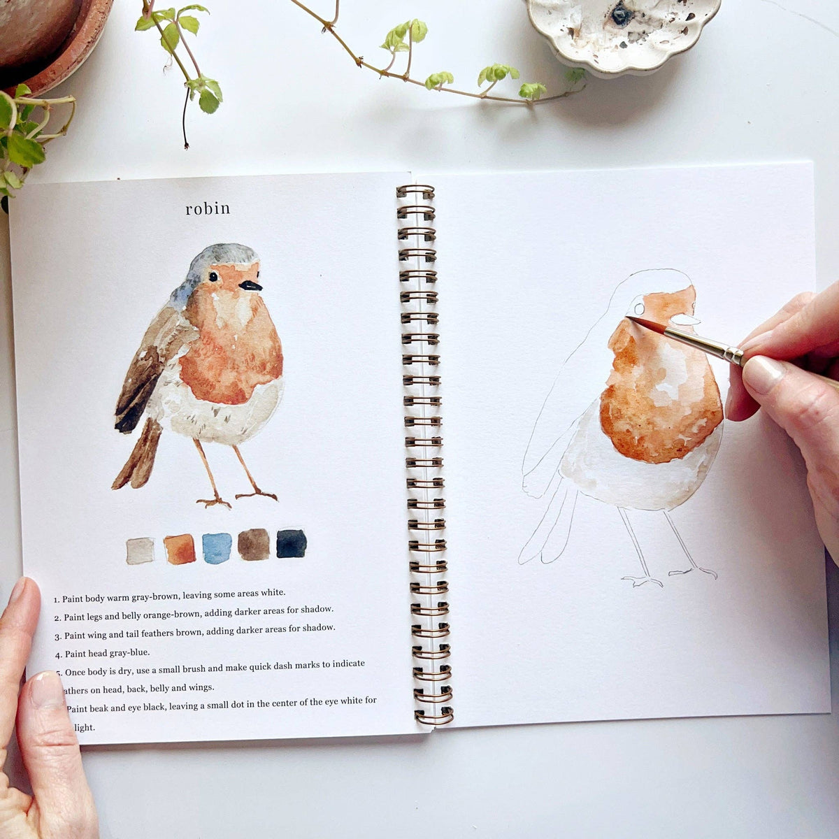 Birds Watercolor Workbook - The Preppy Bunny