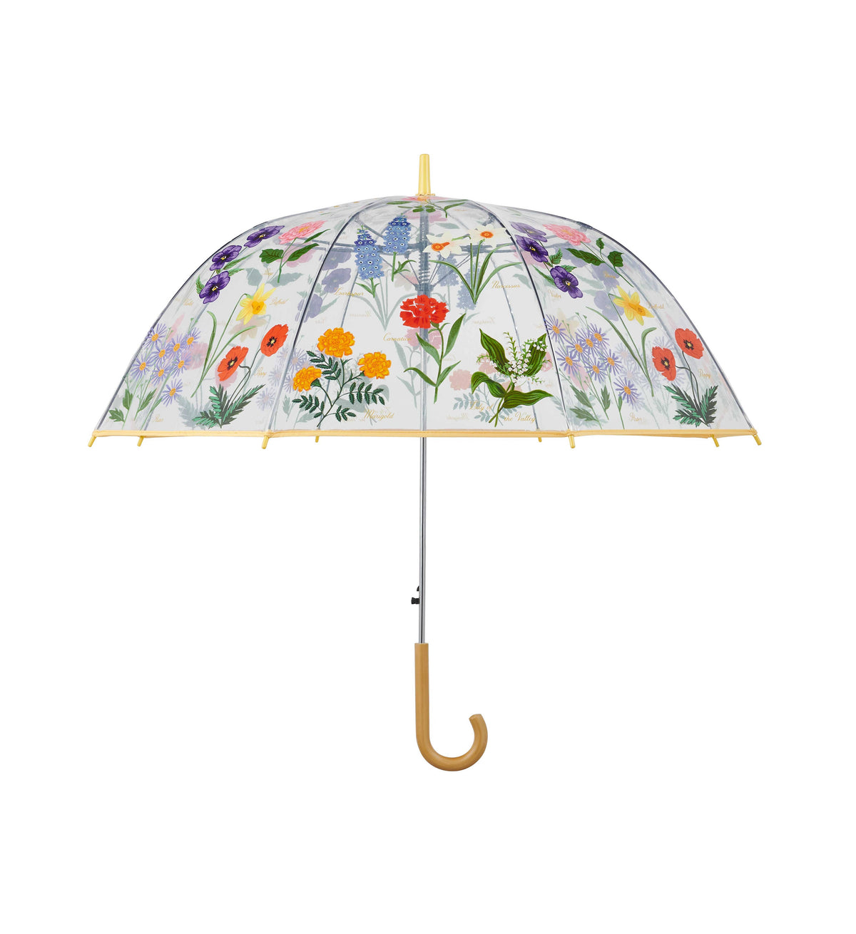 Garden Study Clear Umbrella - The Preppy Bunny