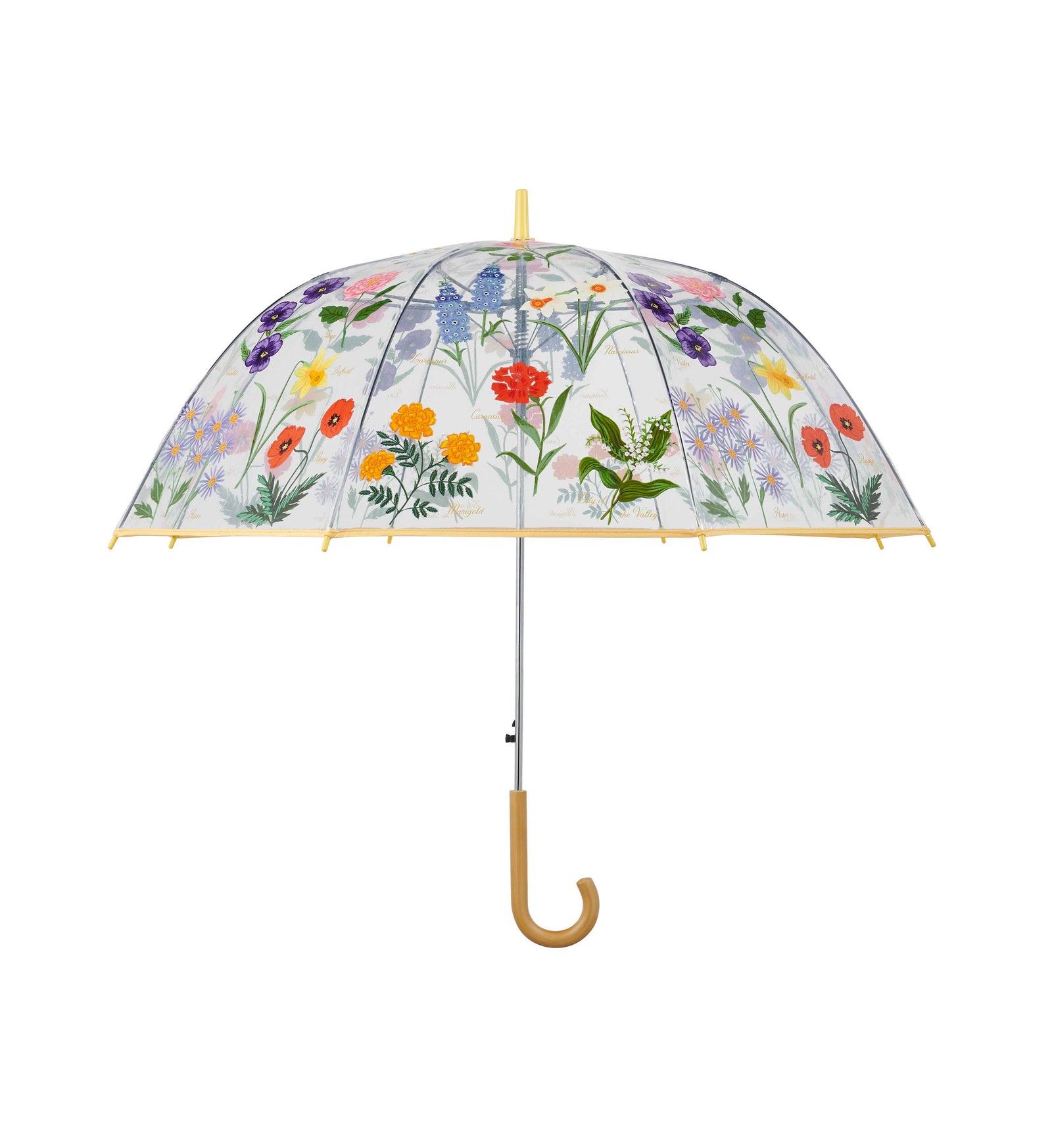 Garden Study Clear Umbrella - The Preppy Bunny