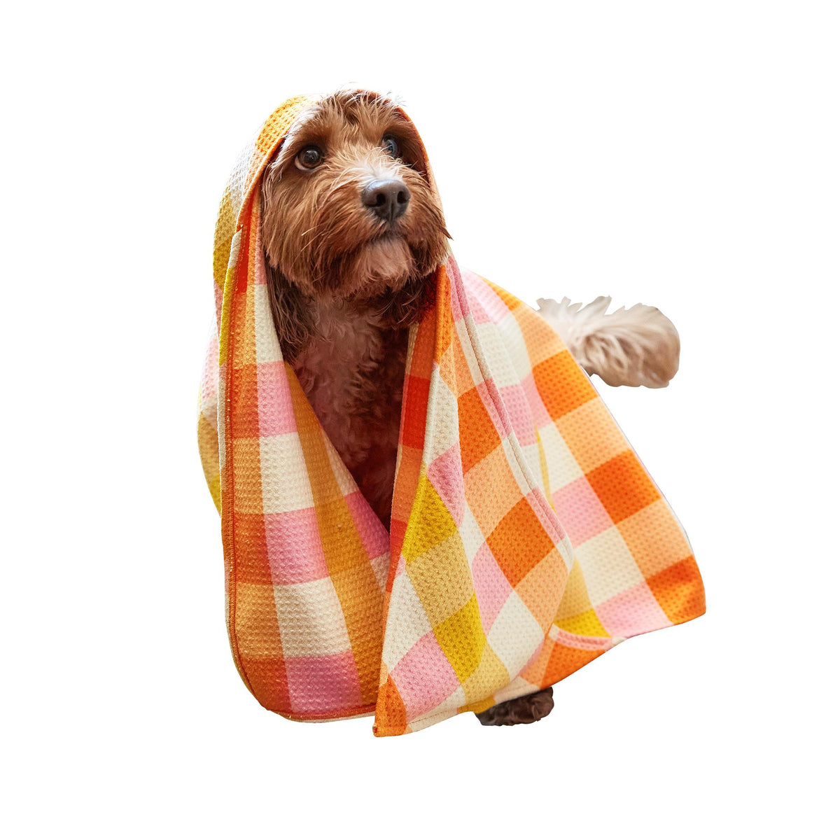 Rhubark &amp; Custard Dock &amp; Bay Dog Towel - 2 sizes - The Preppy Bunny