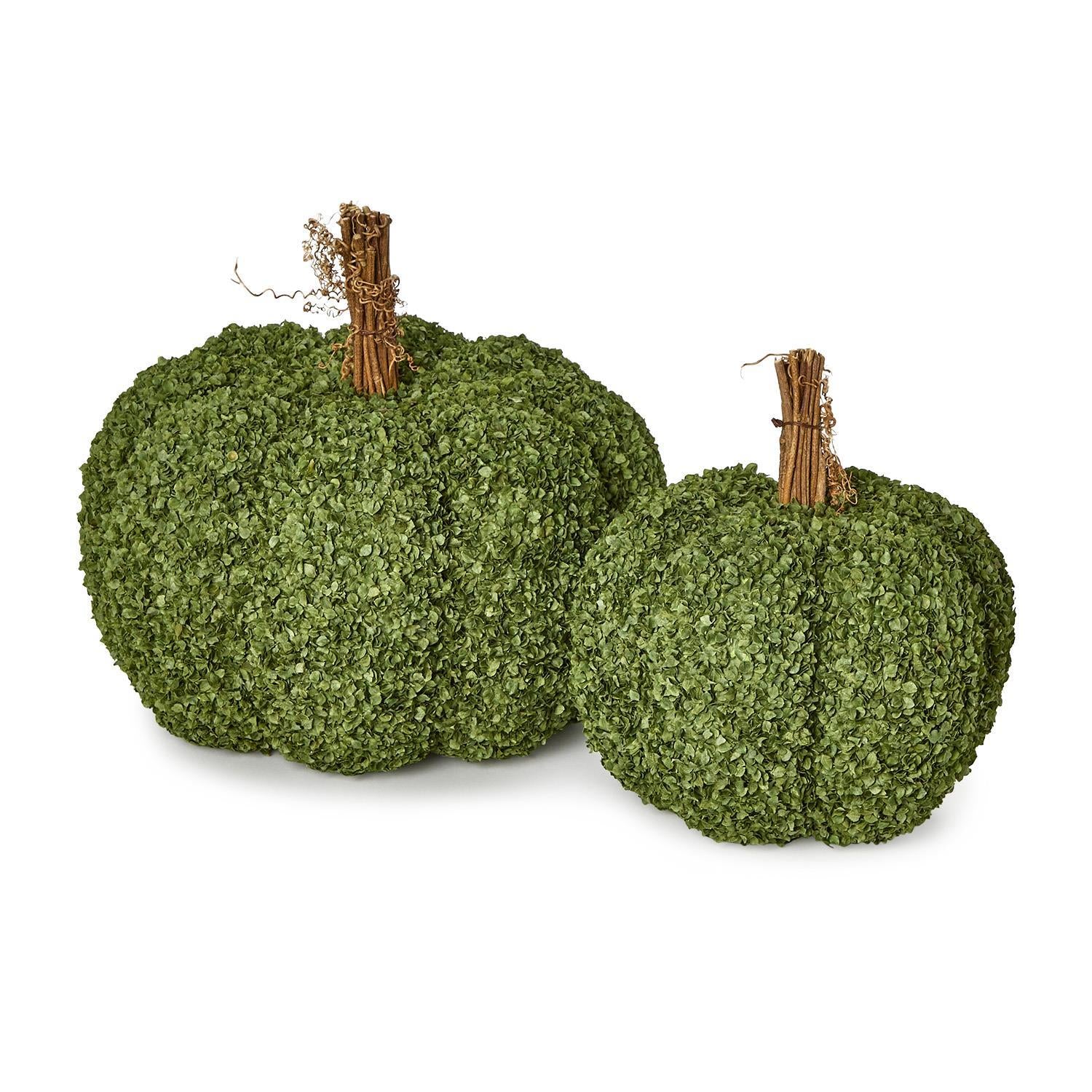 Natural Buckwheat Husk Pumpkins - 2 sizes - The Preppy Bunny