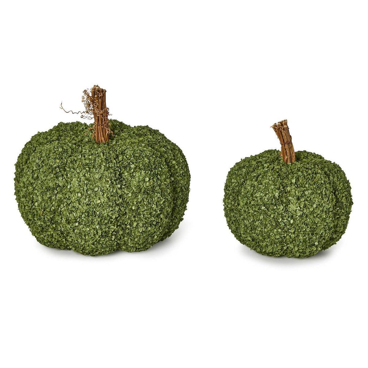 Natural Buckwheat Husk Pumpkins - 2 sizes - The Preppy Bunny