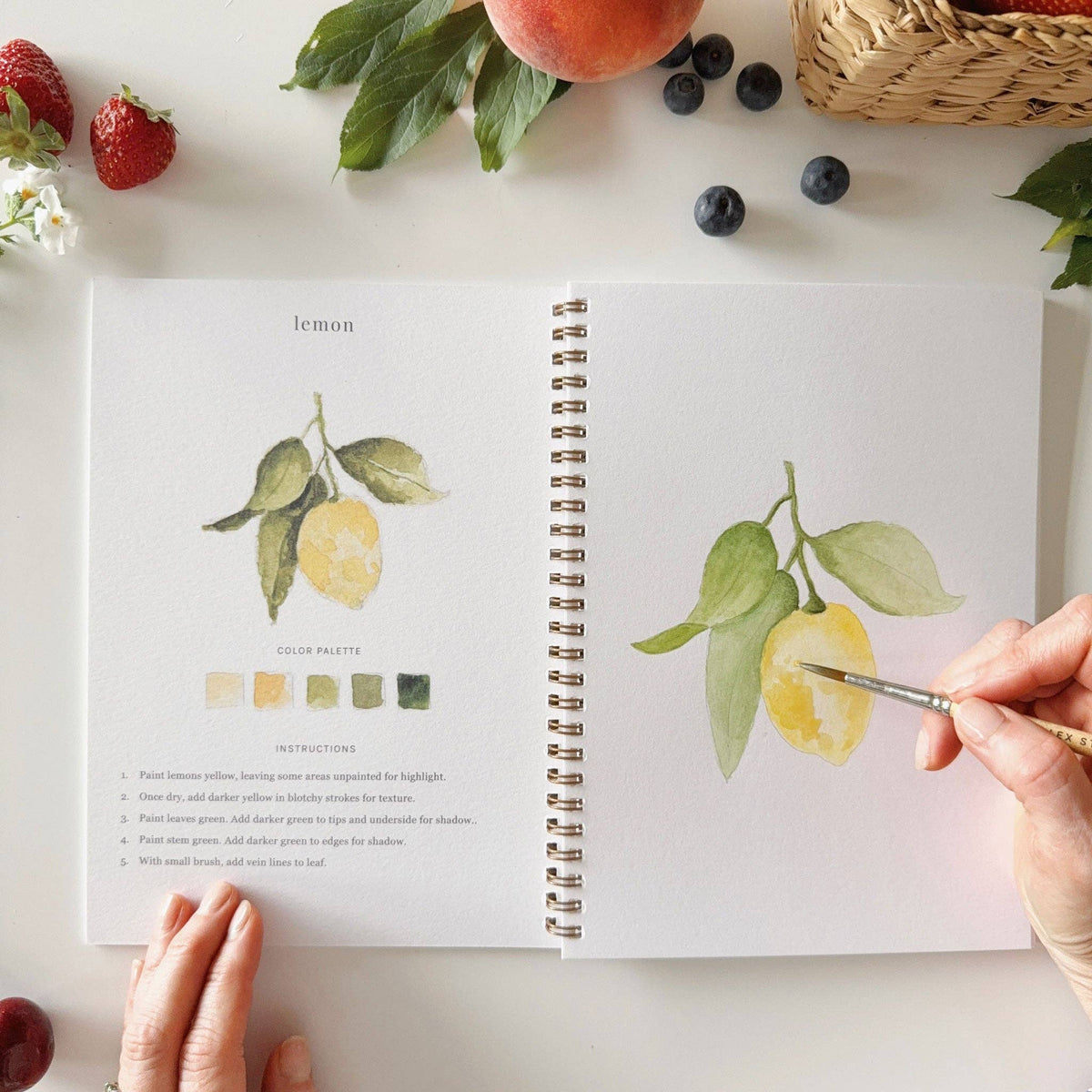Fruit Watercolor Workbook - The Preppy Bunny