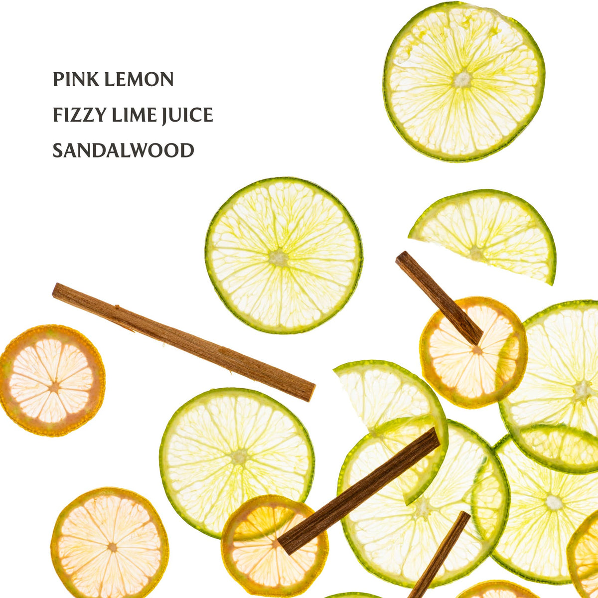 Lemon Lime Spritz Power Mist Hydrating Hand Sanitizer - The Preppy Bunny