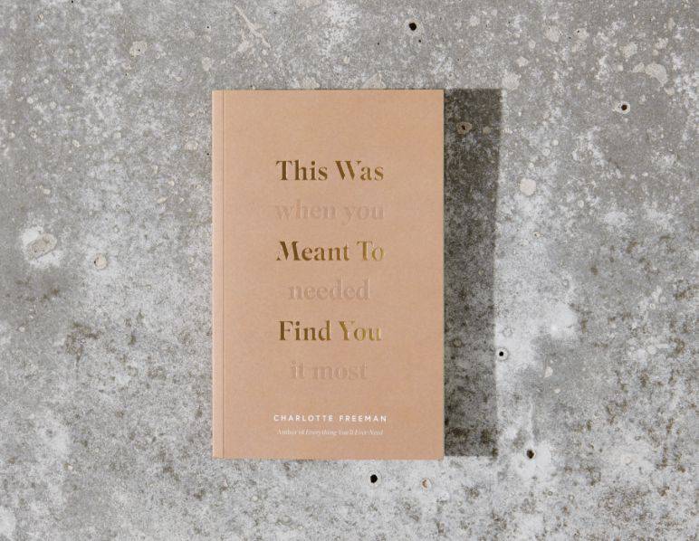 This Was Meant To Find You (When You Needed It Most) - book - The Preppy Bunny