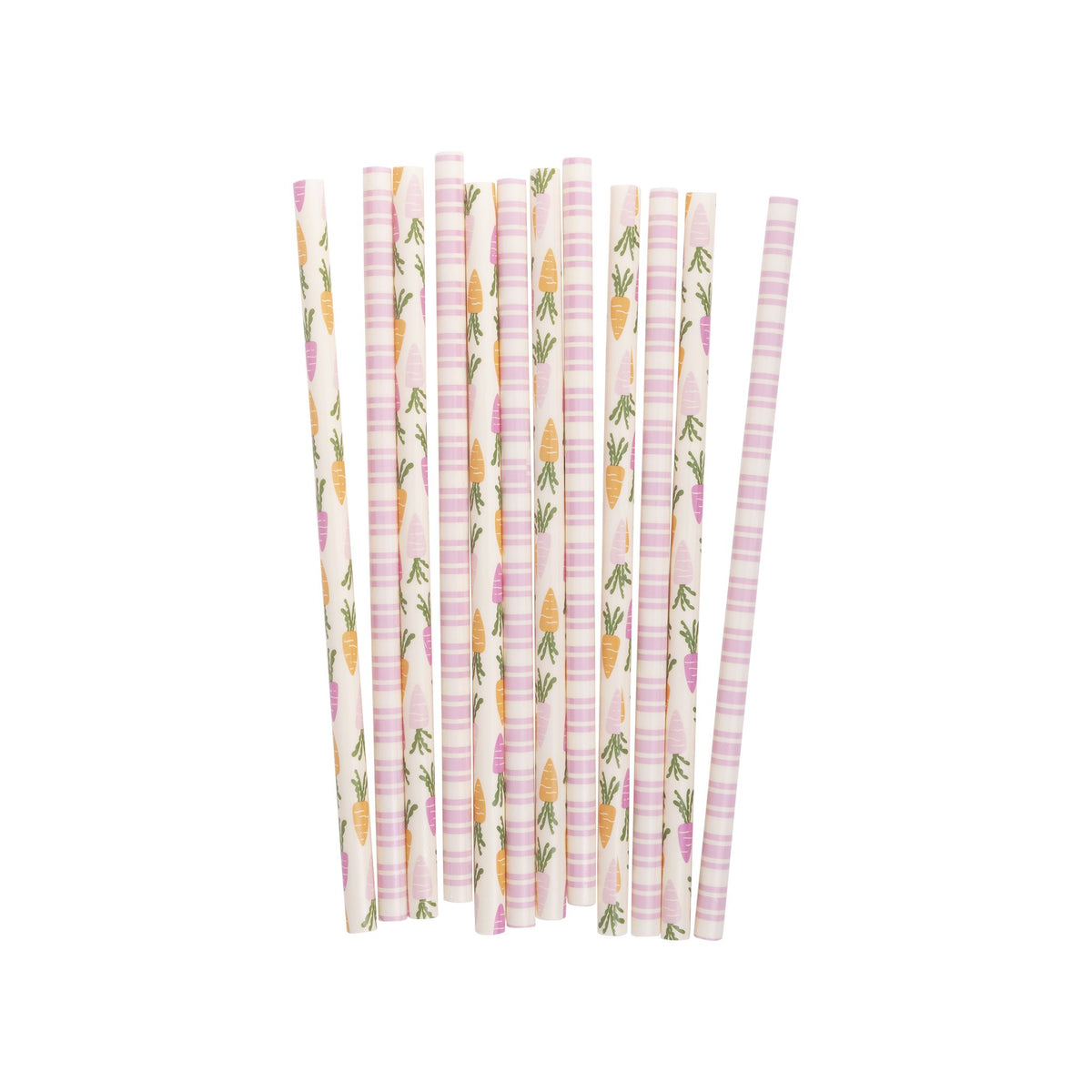 Carrots and Stripes Reusable Straws - The Preppy Bunny