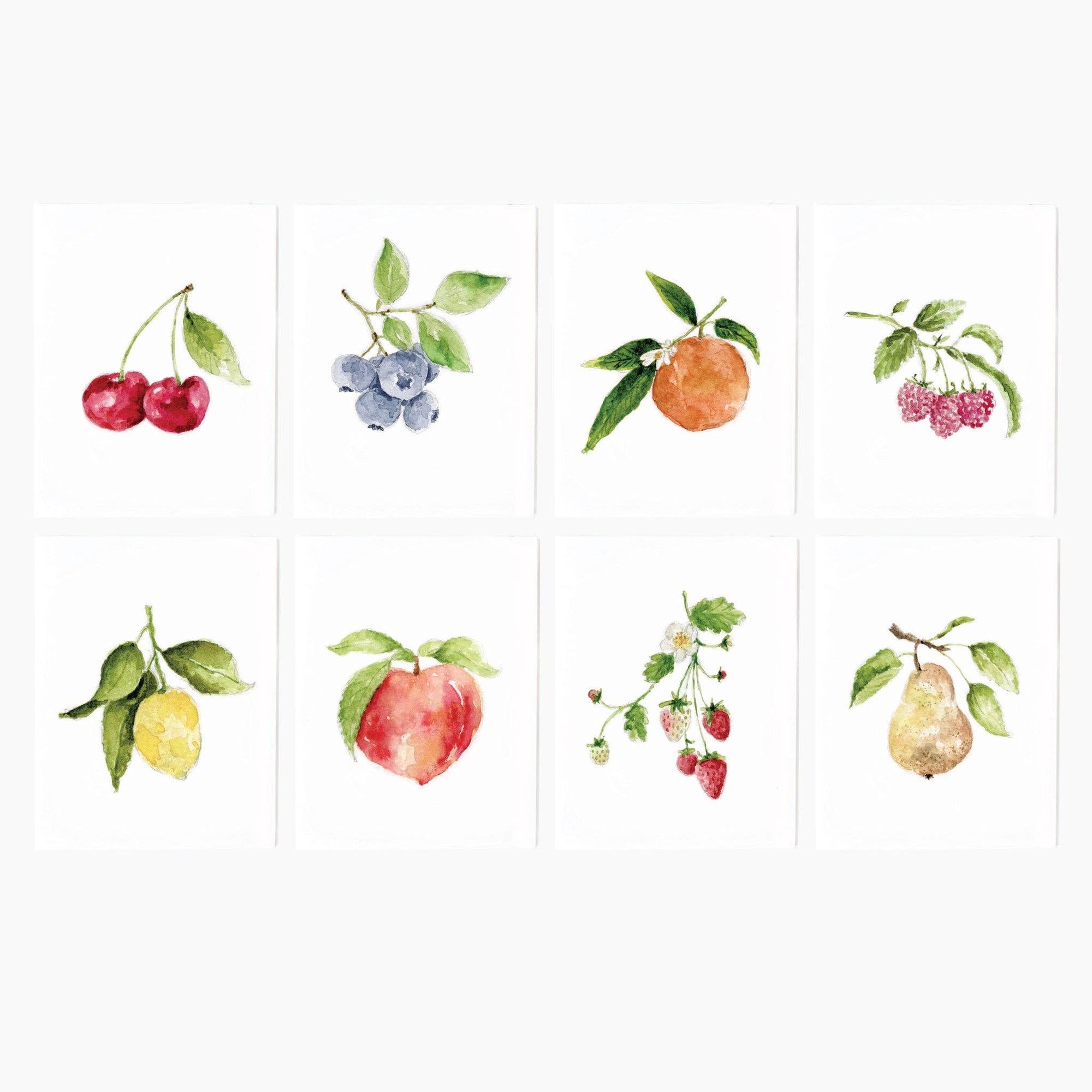 Fruit Assorted Notecard Set - The Preppy Bunny