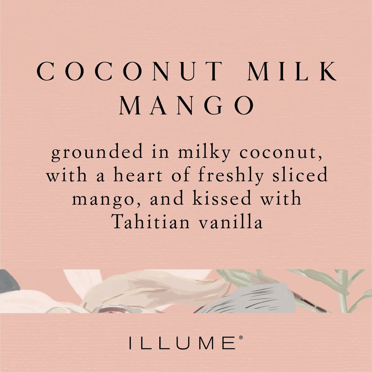Coconut Milk Mango Boxed Glass Candle - The Preppy Bunny