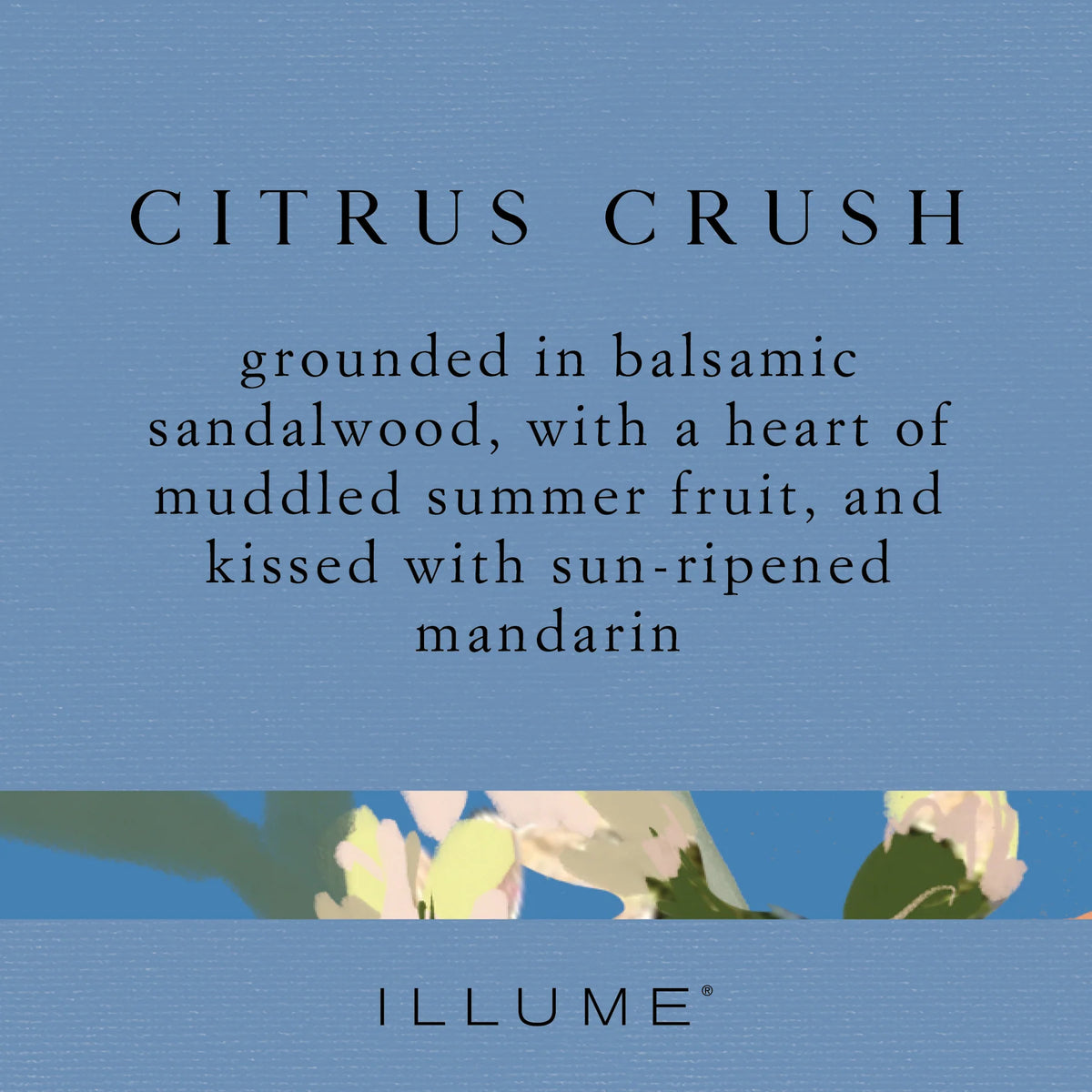 Citrus Crush Demi Vanity Tin Candle - The Preppy Bunny