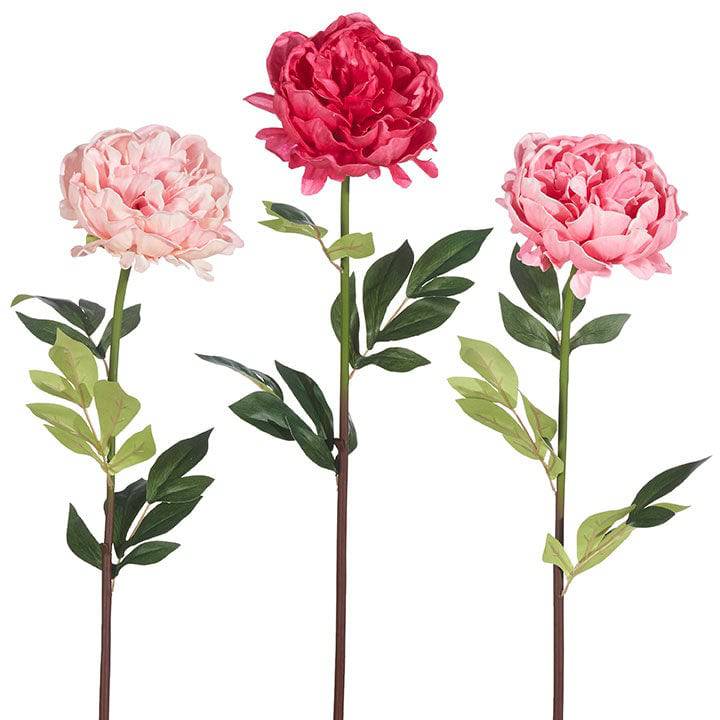 Real Touch Peony Stem - 25&quot; - The Preppy Bunny