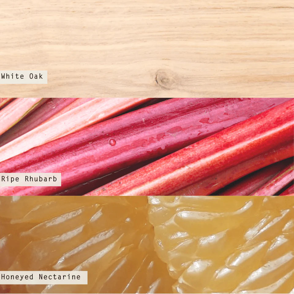 Rhubarb Honey Boxed Glass Candle - The Preppy Bunny