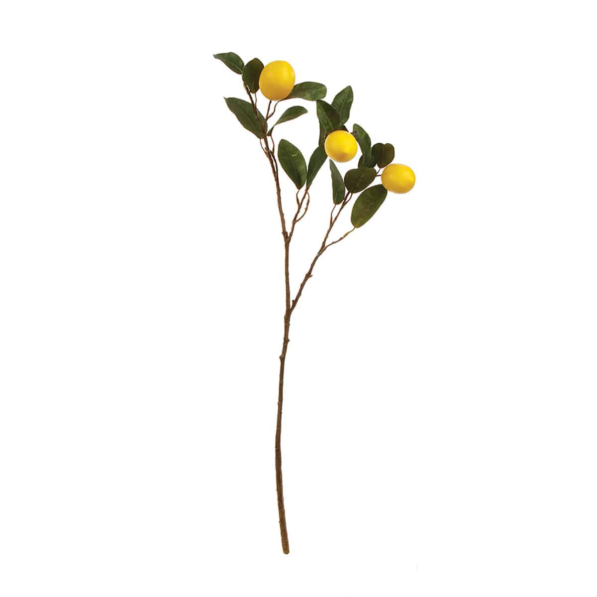 Lemon Branch 29.5 - The Preppy Bunny