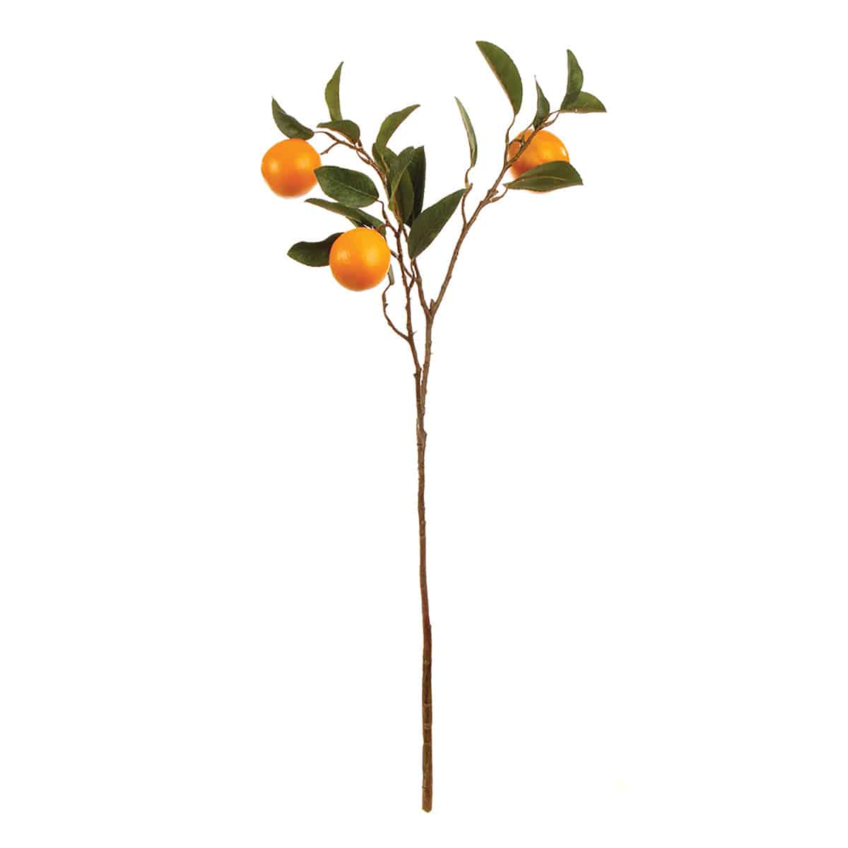 Orange Branch 28.5 - The Preppy Bunny