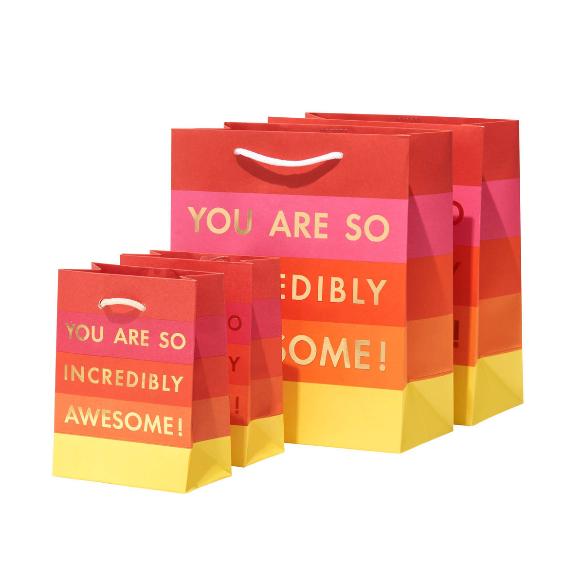 You are so Incredibly Awesome Gift Bag Set of 4 - The Preppy Bunny