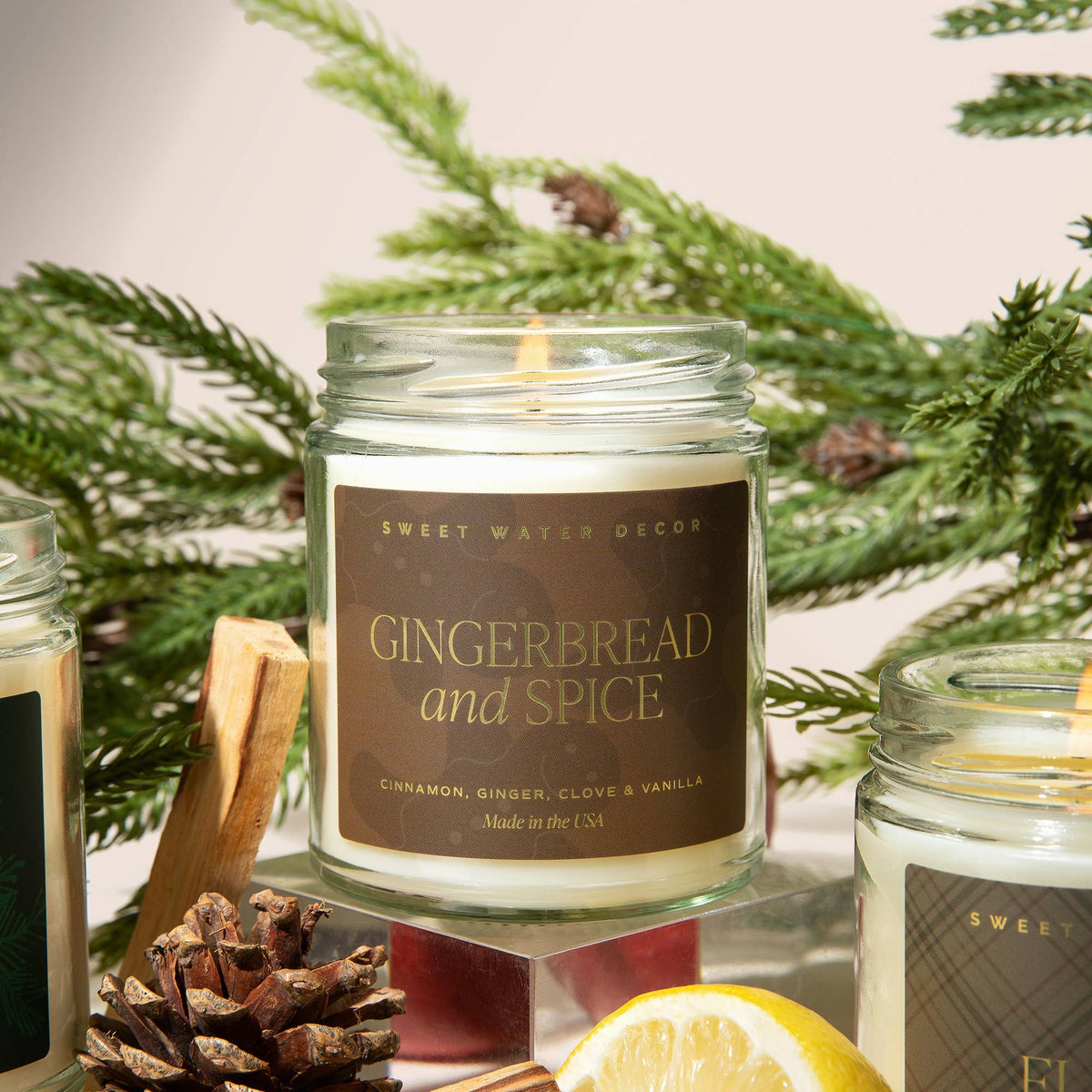 Gingerbread and Spice 9 oz Soy Candle - The Preppy Bunny