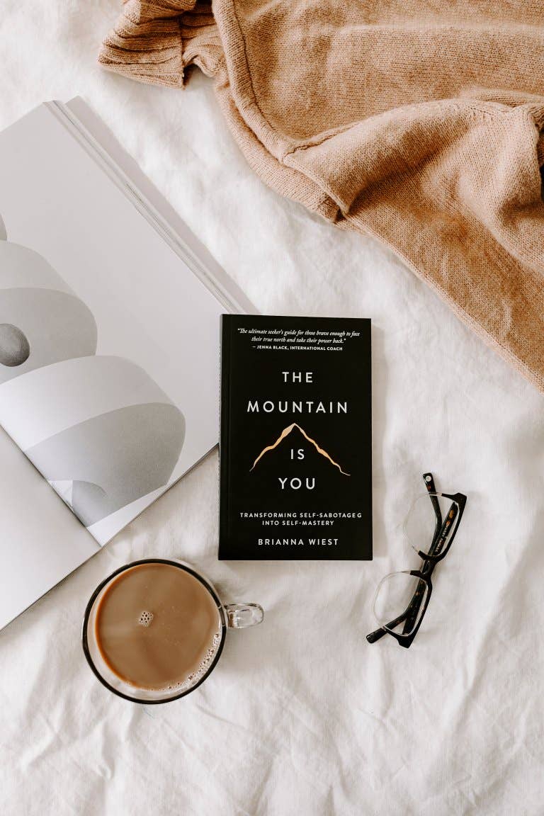 The Mountain Is You - book - The Preppy Bunny