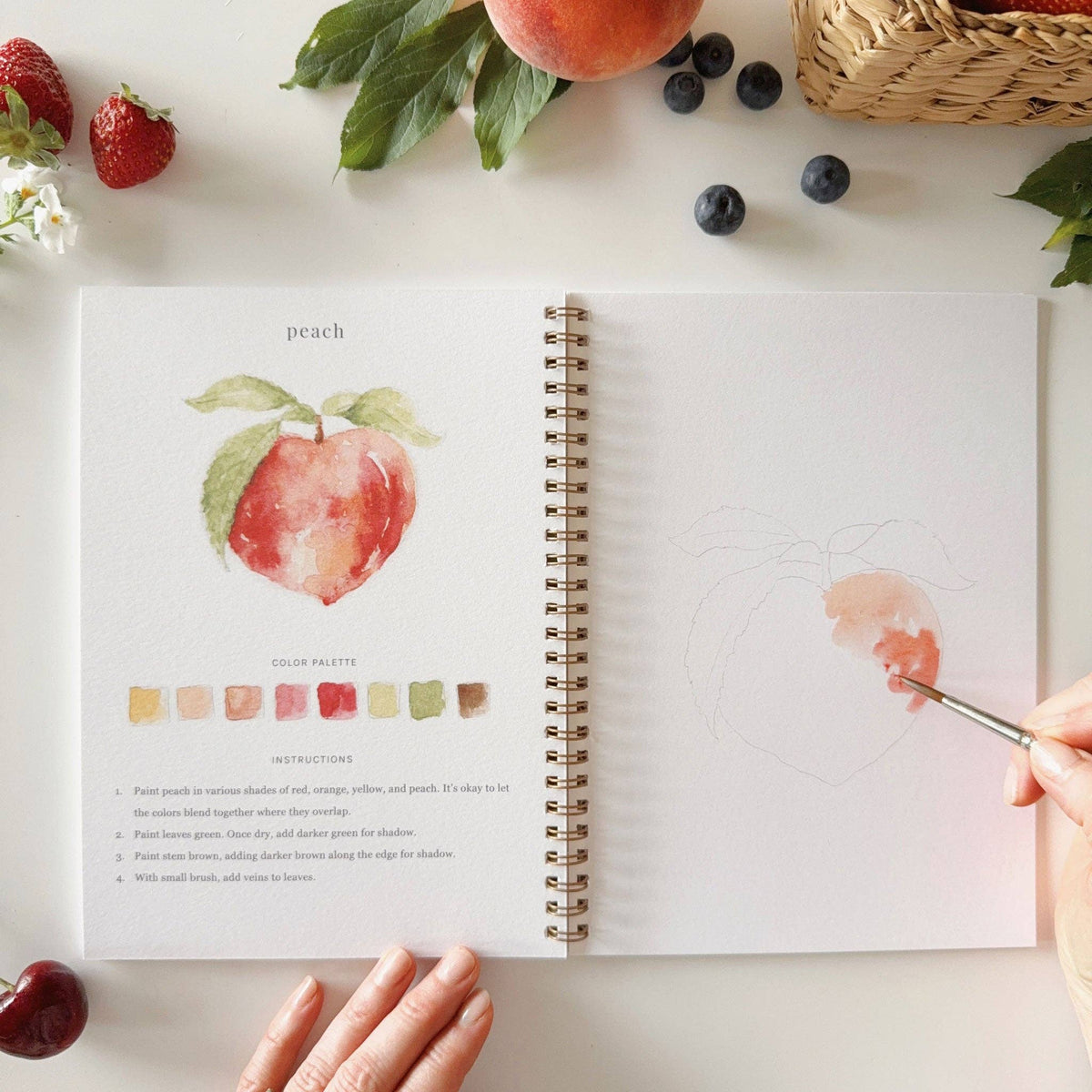 Fruit Watercolor Workbook - The Preppy Bunny