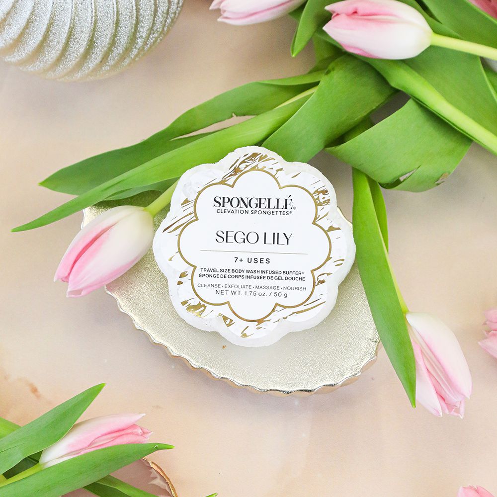 Sego Lily Elevation Spongette - The Preppy Bunny