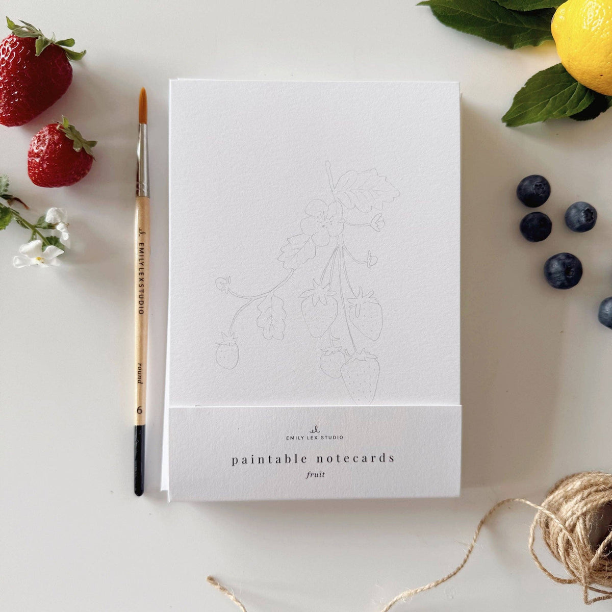 Fruit Paintable Notecards - The Preppy Bunny