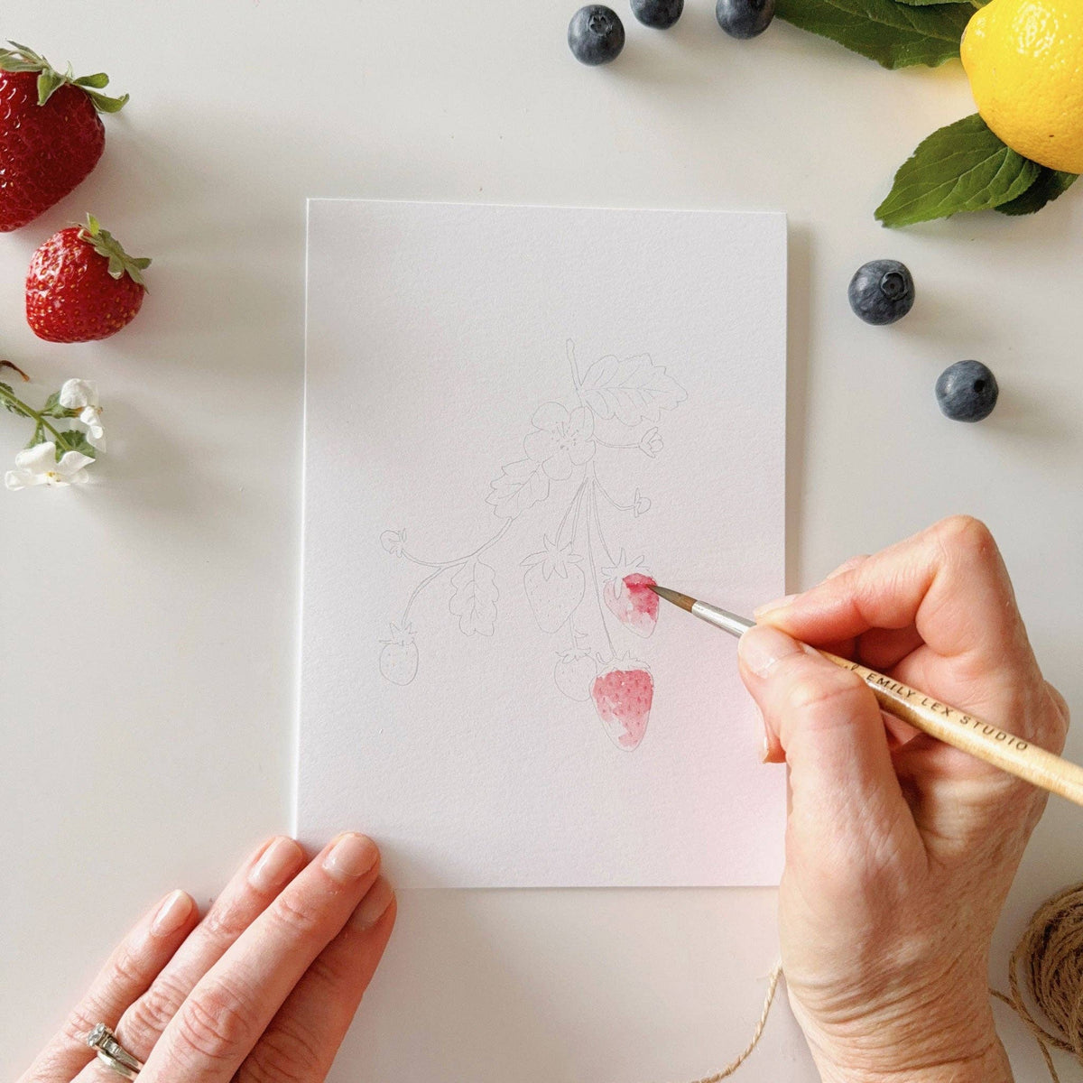 Fruit Paintable Notecards - The Preppy Bunny