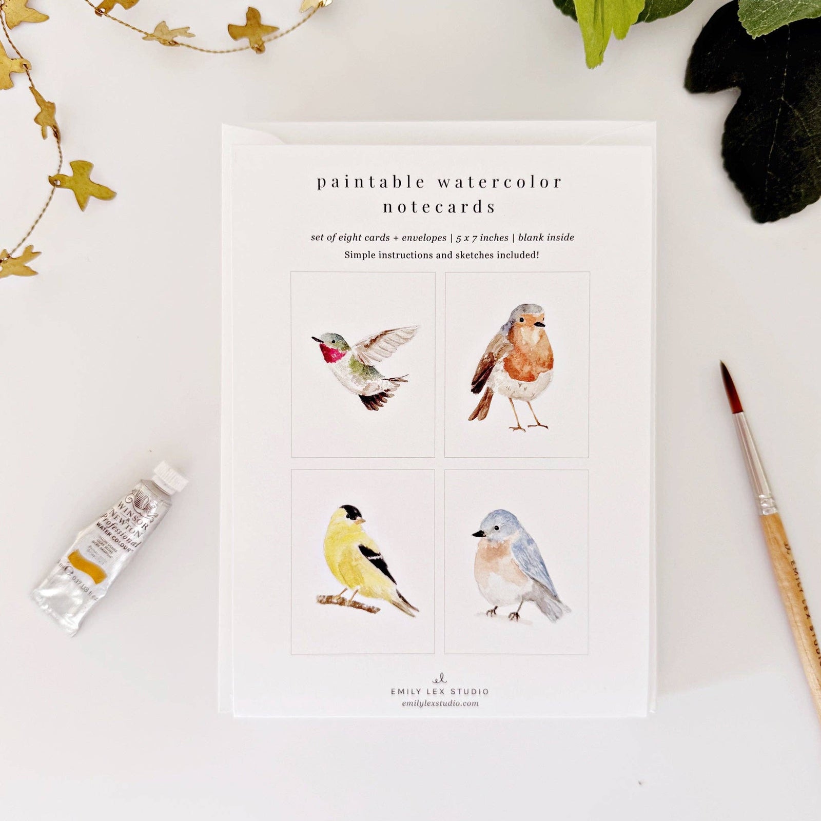 Backyard birds paintable notecards - The Preppy Bunny