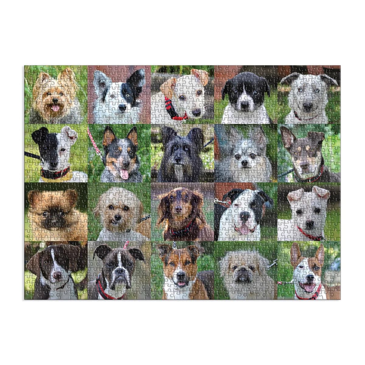 Rescue Dogs 1000 Piece Puzzle - The Preppy Bunny