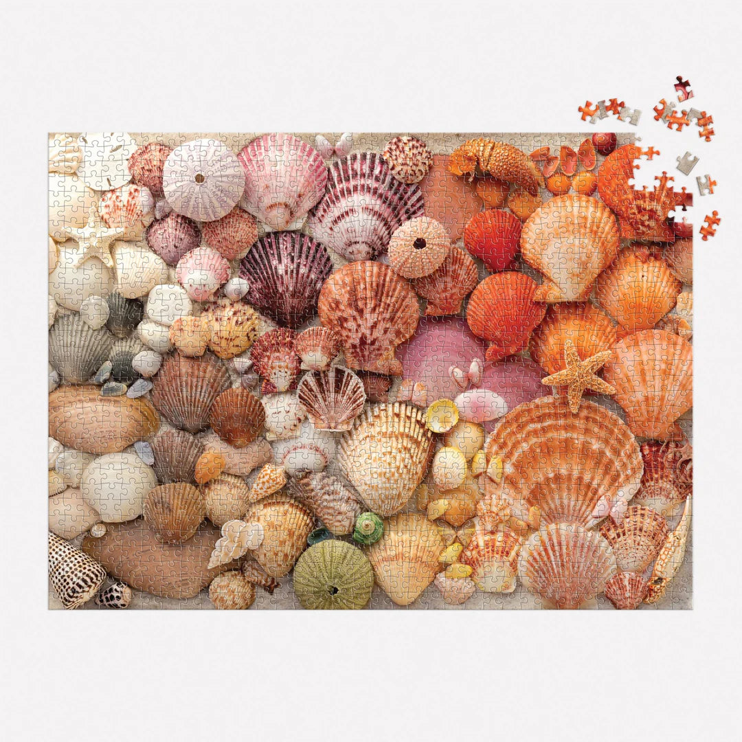 Vibrant Seashells 1000 Piece Puzzle - The Preppy Bunny