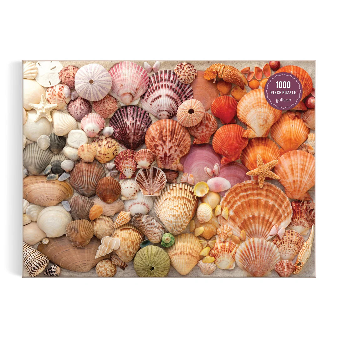 Vibrant Seashells 1000 Piece Puzzle - The Preppy Bunny