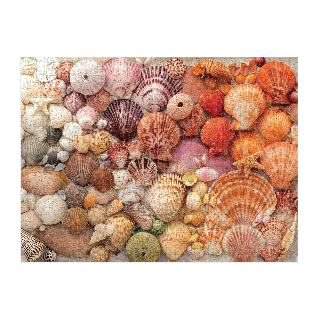 Vibrant Seashells 1000 Piece Puzzle - The Preppy Bunny